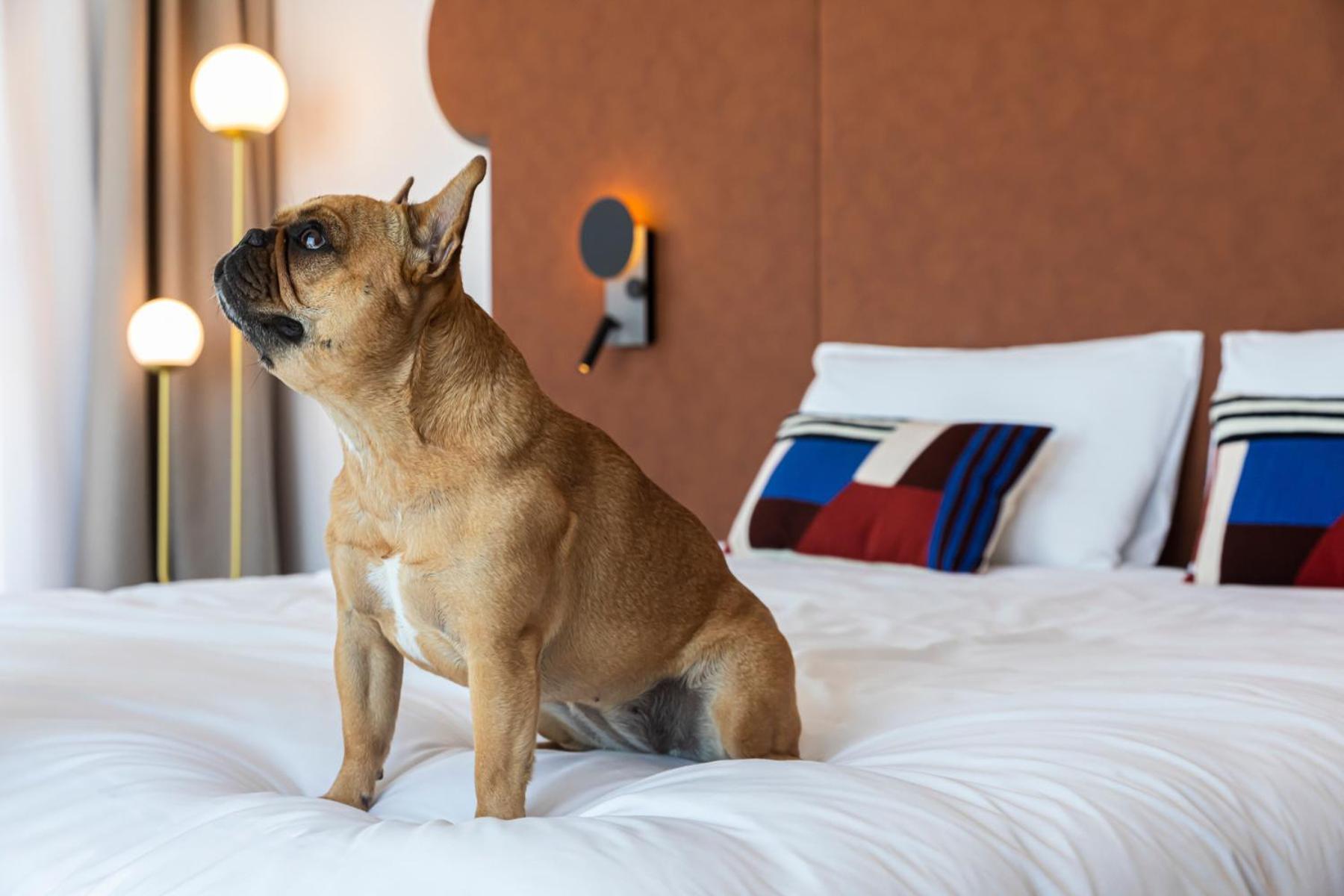 Mercure Dunkerque Centre Gare Dunkirk Exteriör bild
